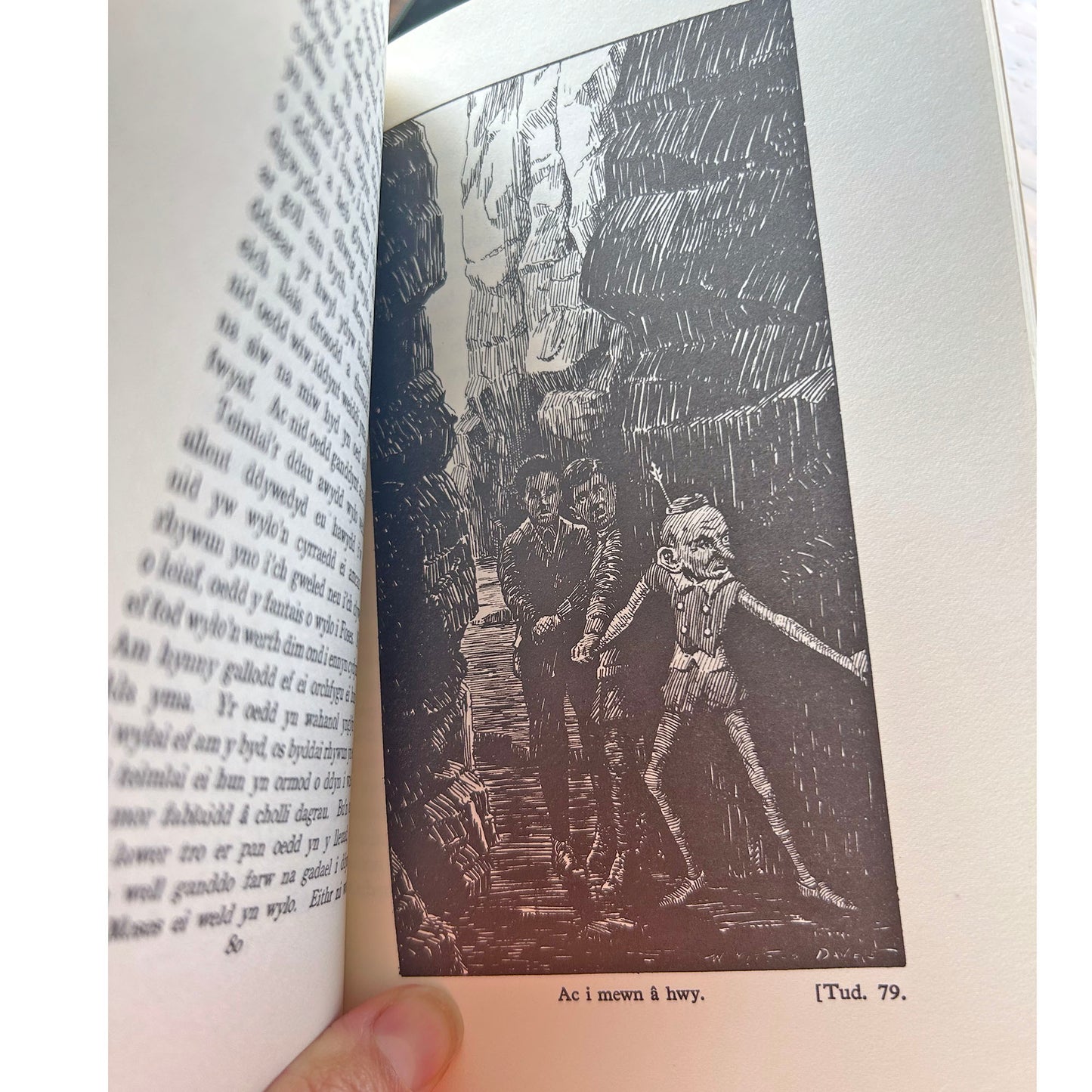 Rhys Llwyd y Lleuad - E. Tegla Davies - 1973 (Preloved)