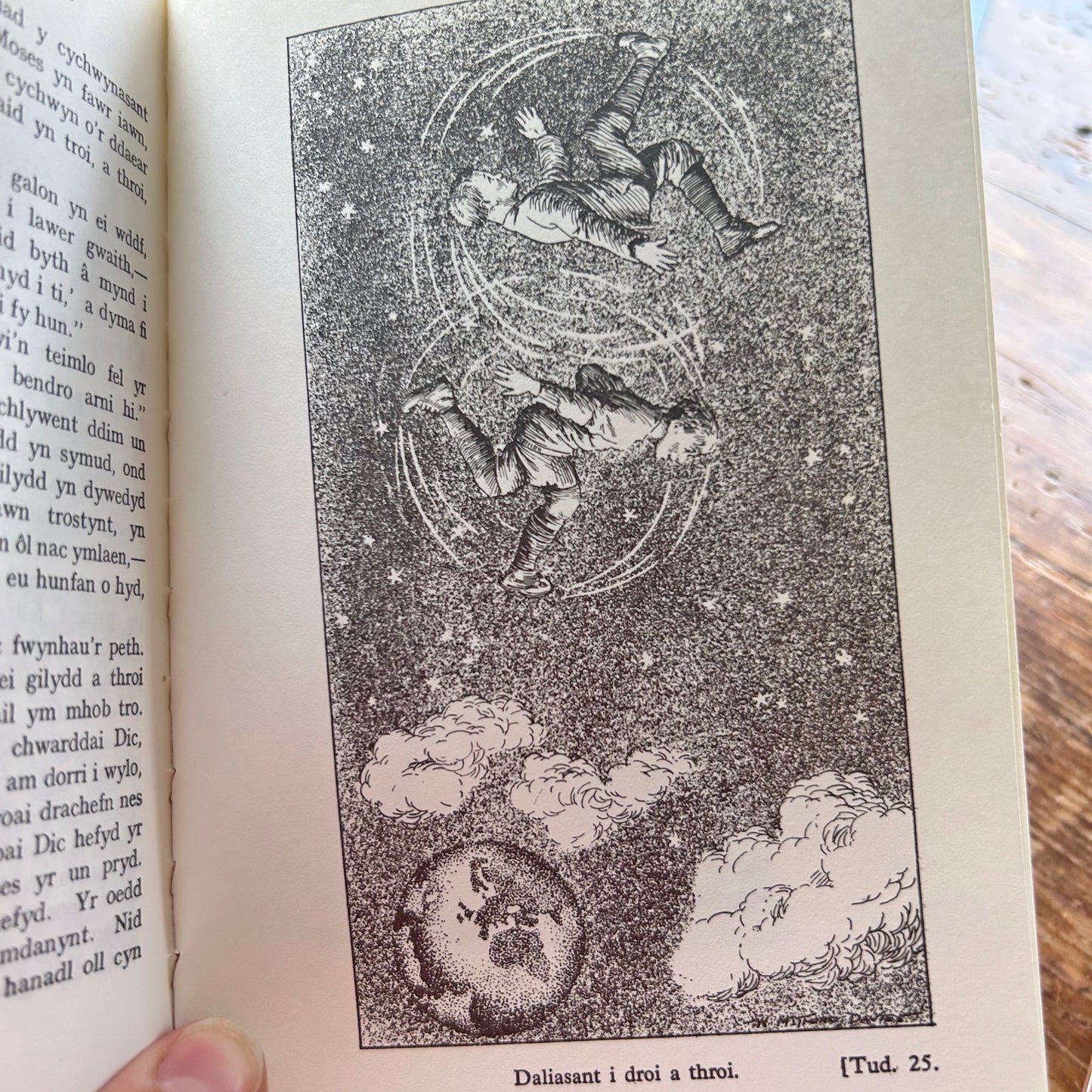 Rhys Llwyd y Lleuad - E. Tegla Davies - 1973 (Preloved)