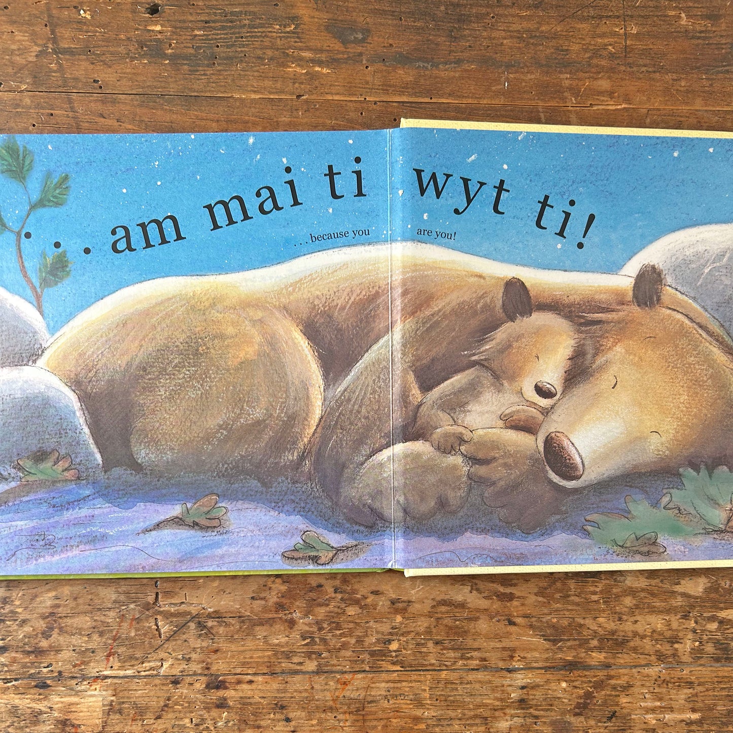 Rwy'n dy Garu Di Mor Fawr â'r Byd / I Love You as Big as the World (Preloved)