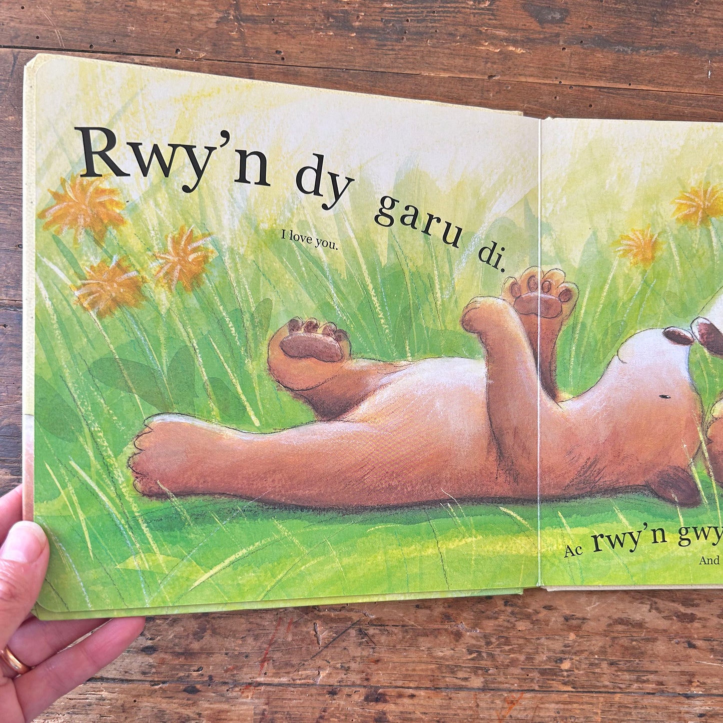 Rwy'n dy Garu Di Mor Fawr â'r Byd / I Love You as Big as the World (Preloved)