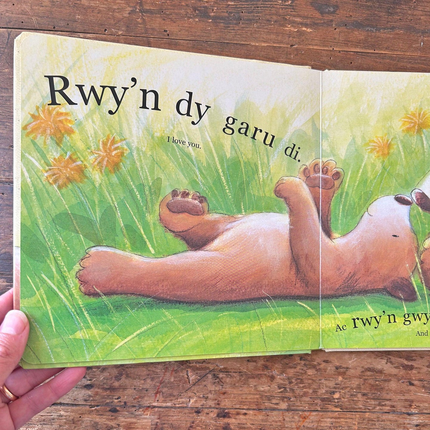 Rwy'n dy Garu Di Mor Fawr â'r Byd / I Love You as Big as the World (Preloved)