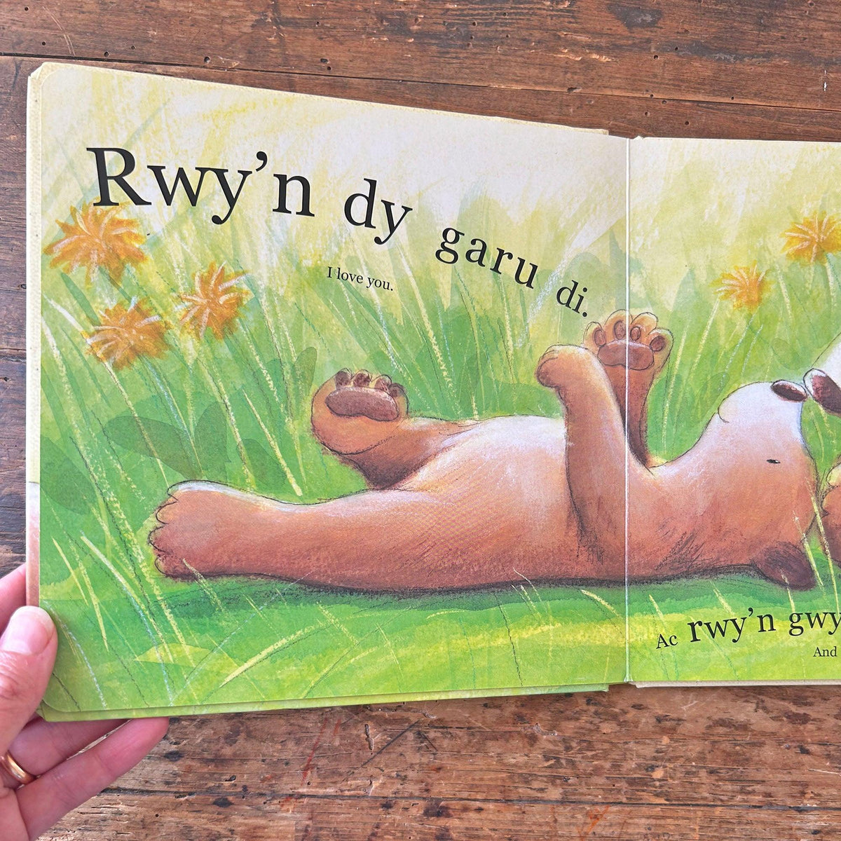 Rwy'n dy Garu Di Mor Fawr â'r Byd / I Love You as Big as the World (Preloved)