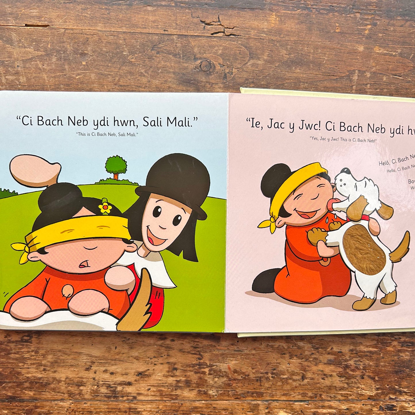 Sali Mali a Ci Bach Neb - Llyfr Cyffwrdd a Theimlo (Preloved)