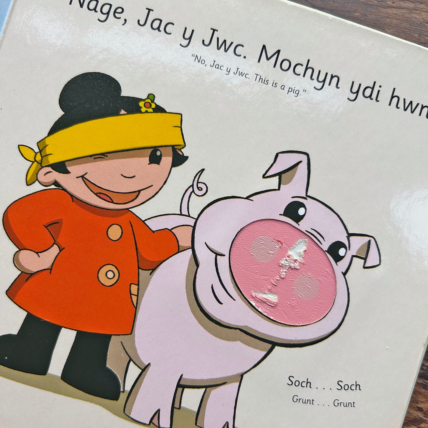 Sali Mali a Ci Bach Neb - Llyfr Cyffwrdd a Theimlo (Preloved)