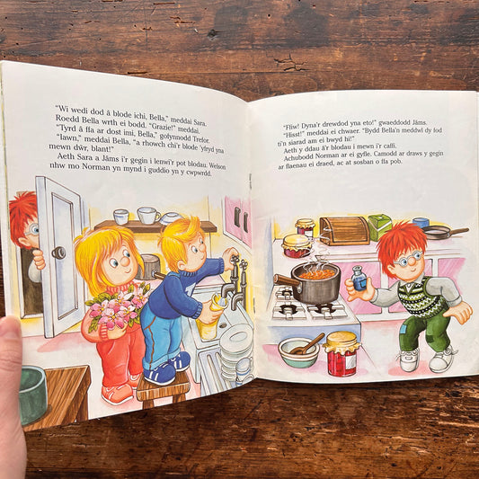 Sam Tân - Y Barbiciw - Sam Tân (Preloved)