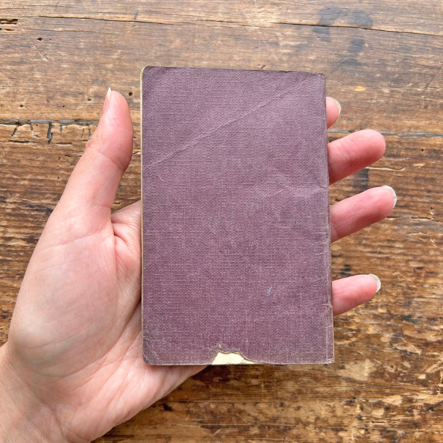 Sant Matthew - Yr Efengyl - Antique Welsh Religious Booklet (Preloved)