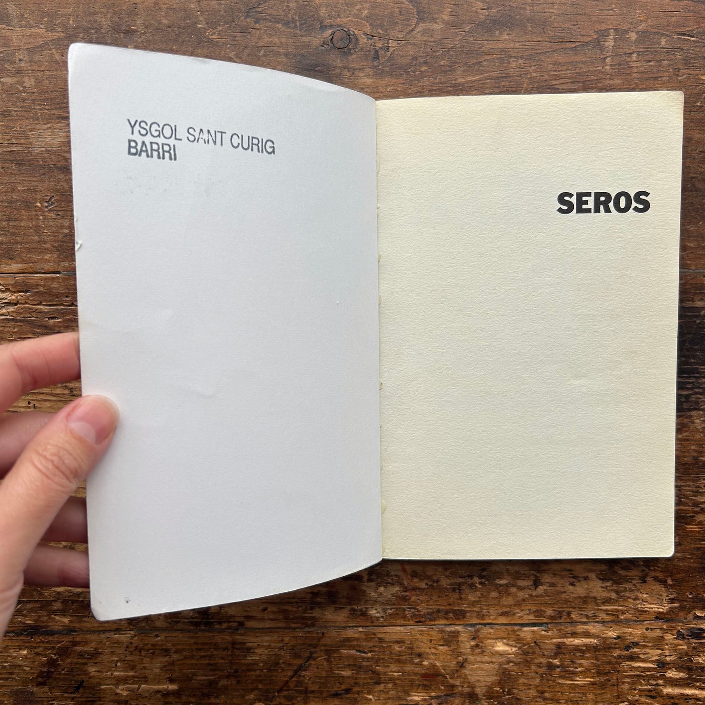 Seros - Martin Davis - 1991 (Preloved)