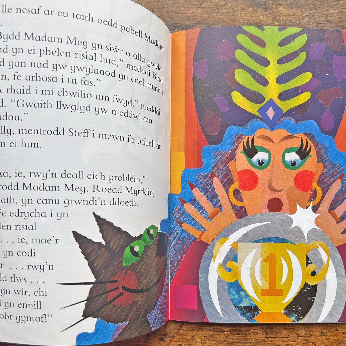 Sglod a'r Ddraig: Cyfres Llyffantod (Preloved)