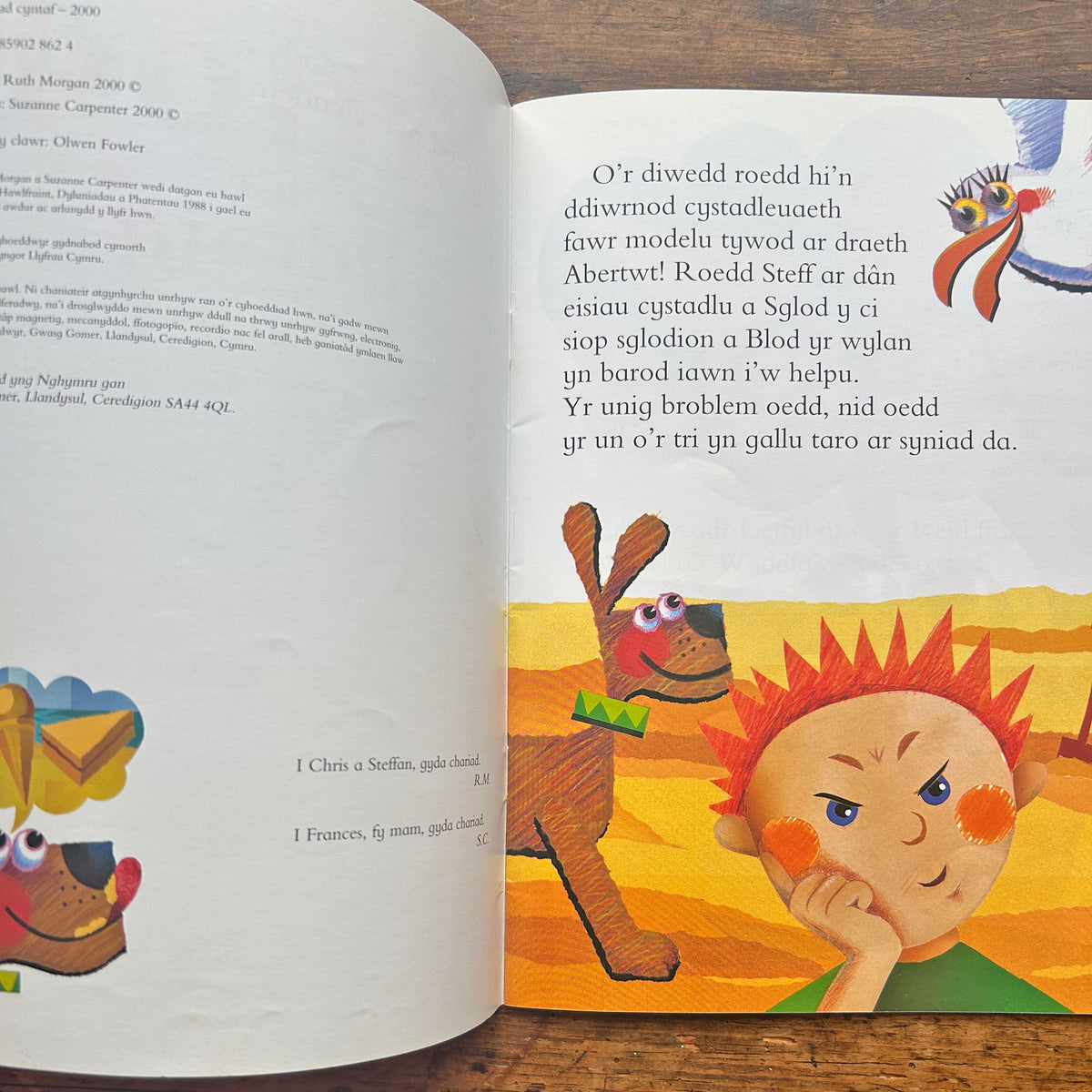 Sglod a'r Ddraig: Cyfres Llyffantod (Preloved)