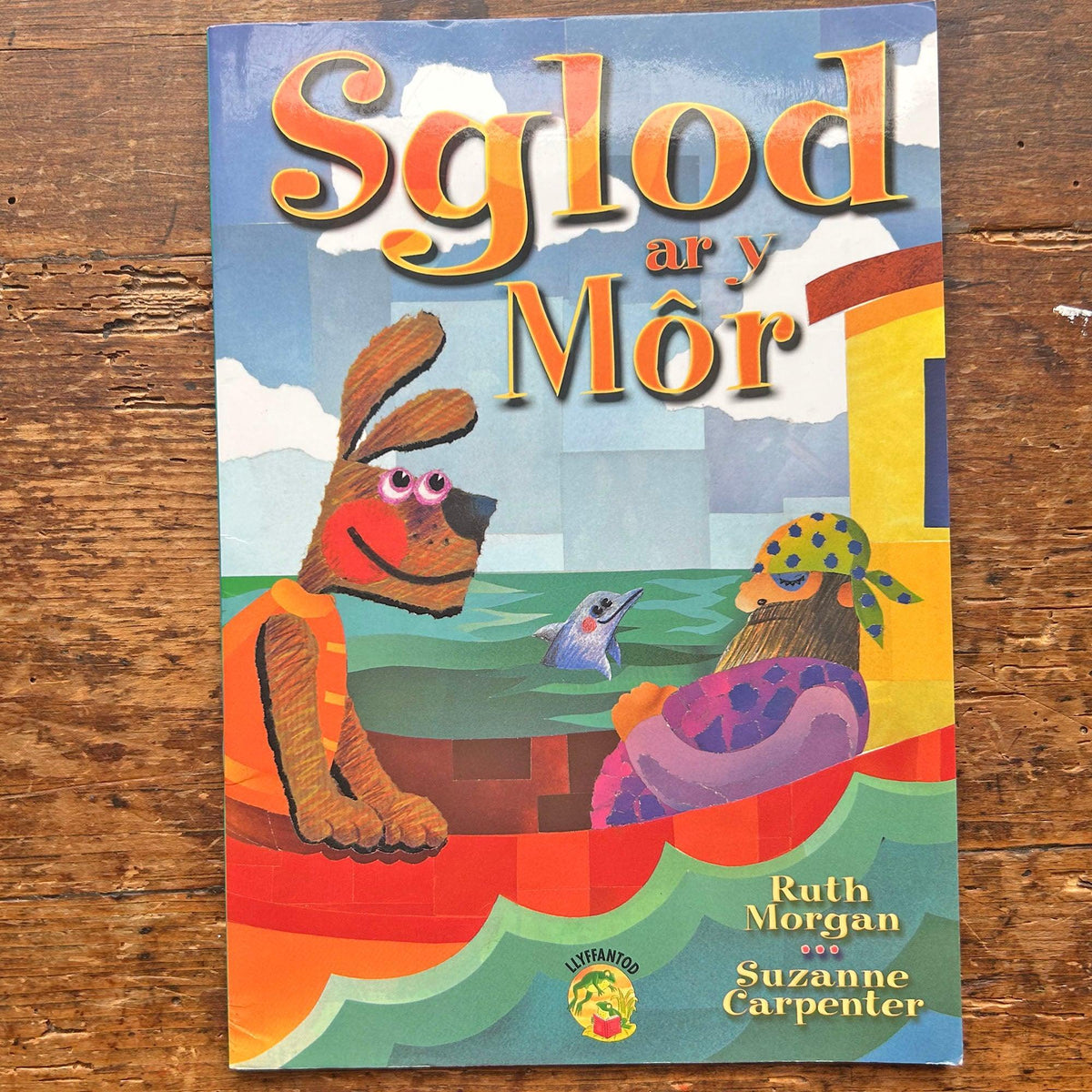 Sglod ar y Mor: Cyfres Llyffantod (Preloved)