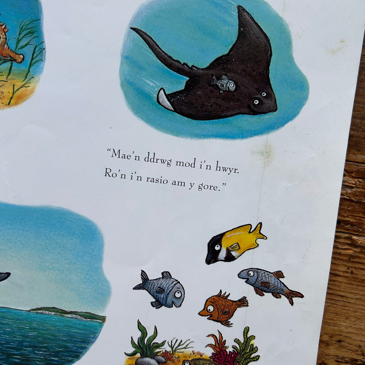 Sgodi / Tiddler - Julia Donaldson & Alex Scheffler (Preloved)