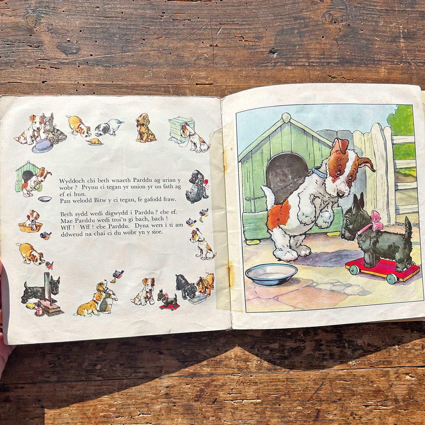 Sioe Gwn Trecwn - Vintage Children's Picture Book 1973 (Preloved)
