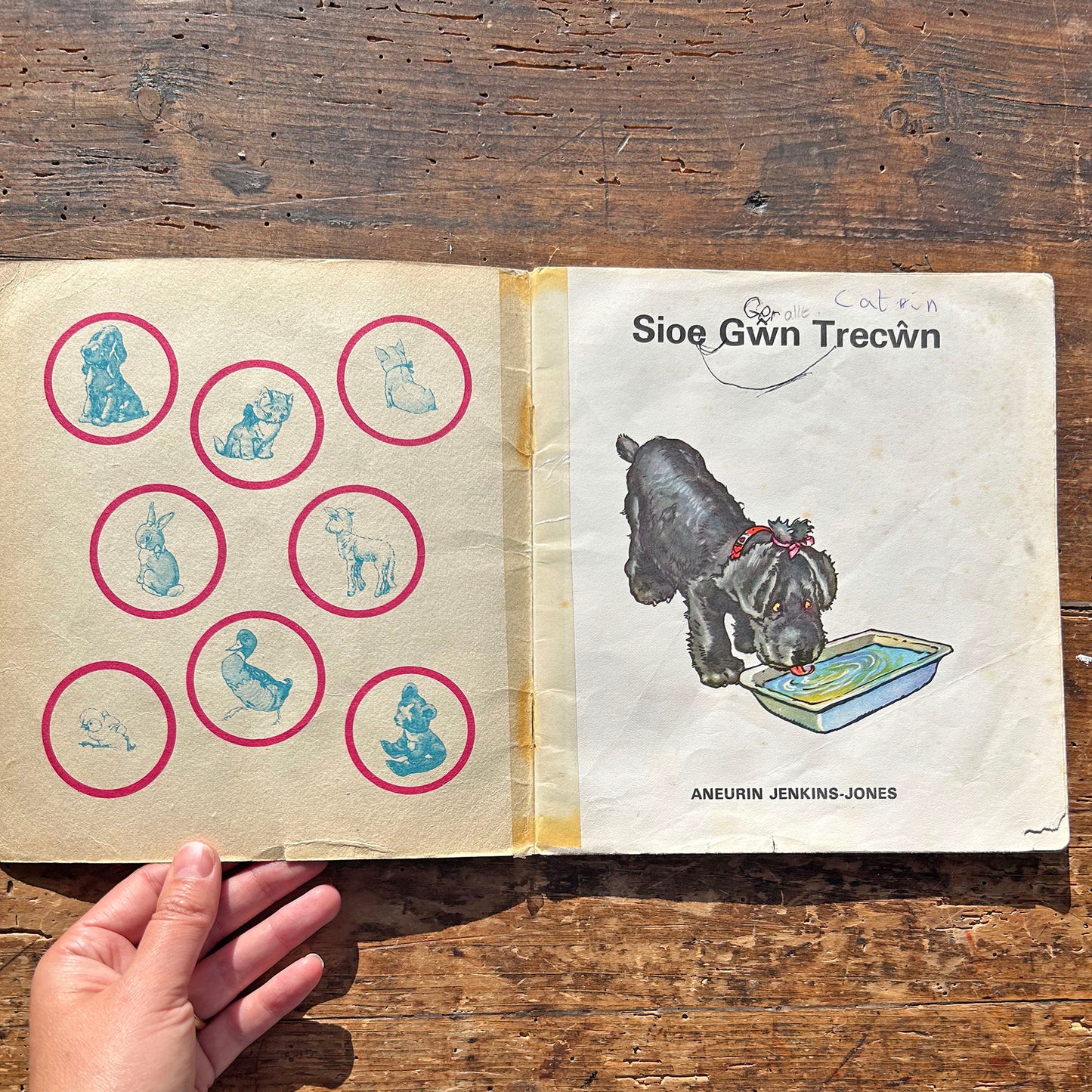 Sioe Gwn Trecwn - Vintage Children's Picture Book 1973 (Preloved)