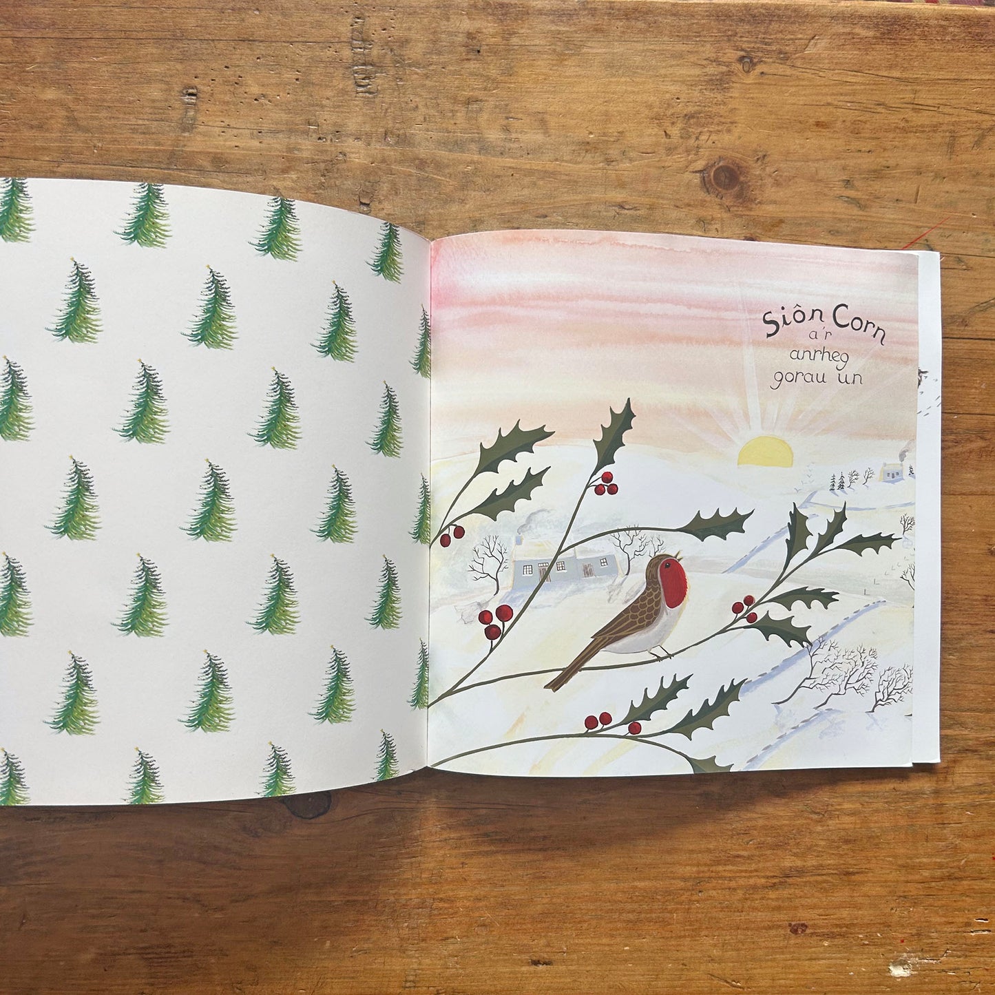 Siôn Corn a'r Anrheg Gorau Un - Tudur Dylan Jones & Valériane Leblond (Preloved)