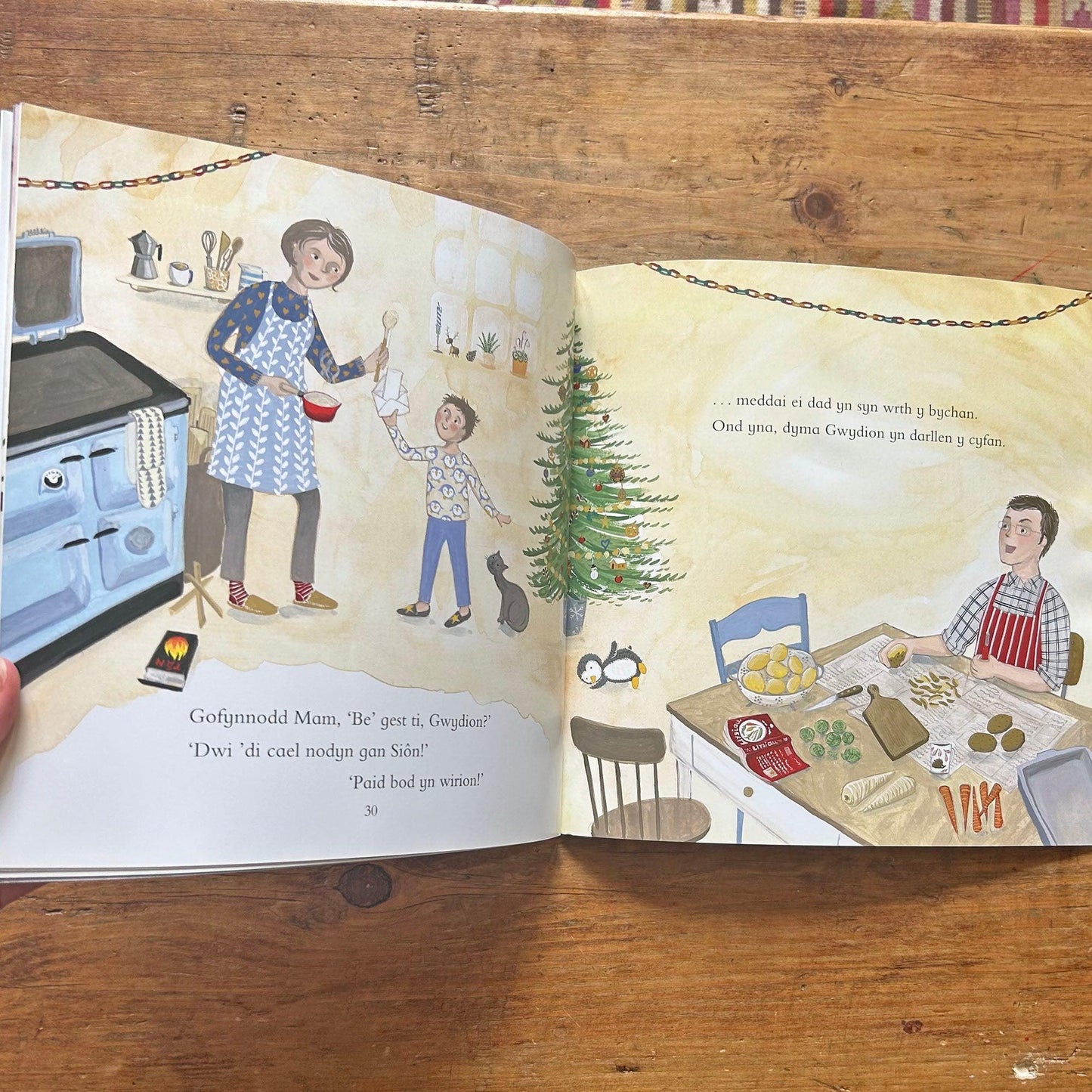 Siôn Corn a'r Anrheg Gorau Un - Tudur Dylan Jones & Valériane Leblond (Preloved)