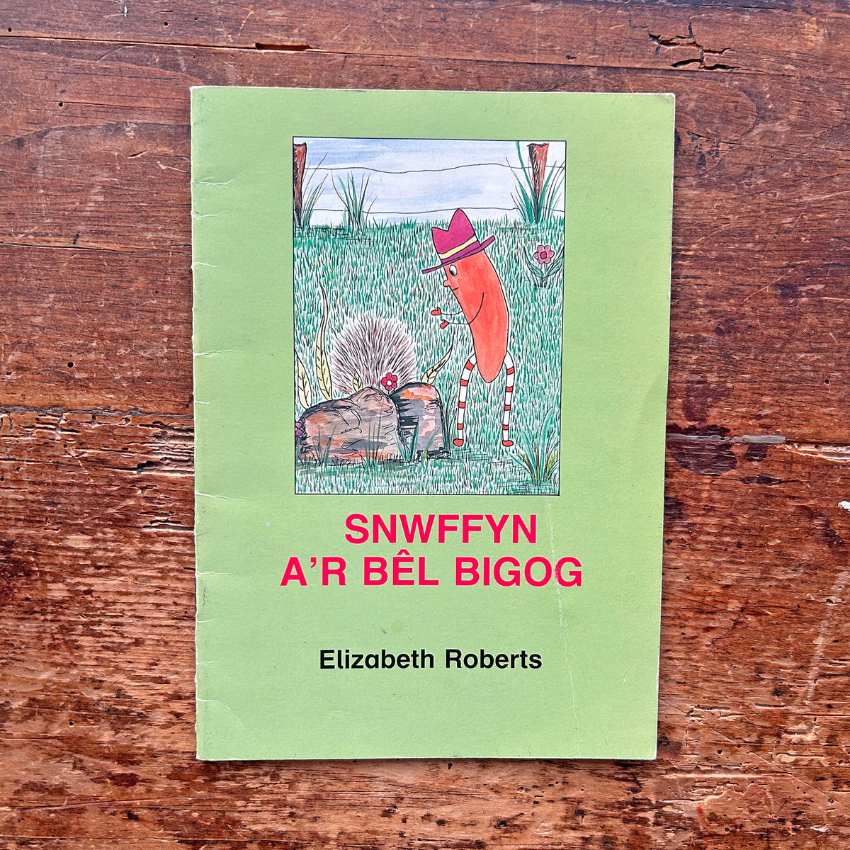 Snwffyn A'r Bêl Bigog - Elizabeth Roberts 1989 (Preloved)