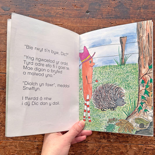 Snwffyn A'r Bêl Bigog - Elizabeth Roberts 1989 (Preloved)