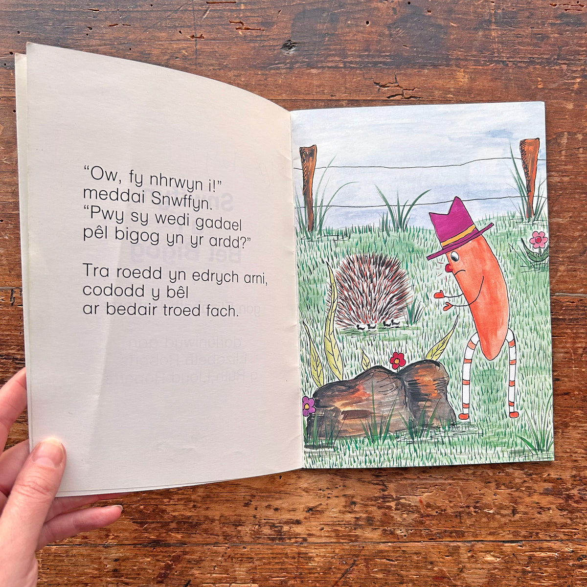 Snwffyn A'r Bêl Bigog - Elizabeth Roberts 1989 (Preloved)