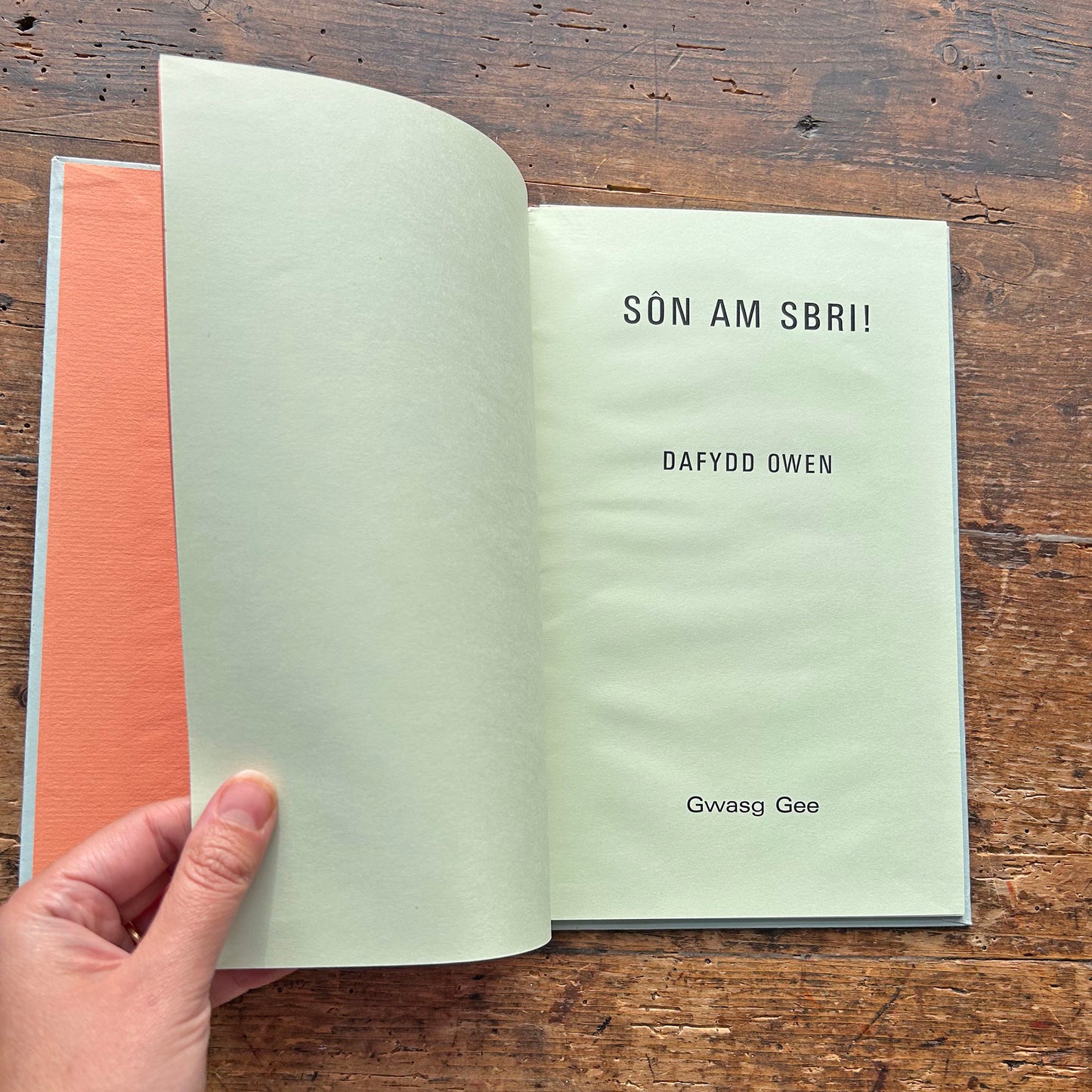 Sôn am Sbri - Dafydd Owen - Poetry - 1976 1st ed. (Preloved)