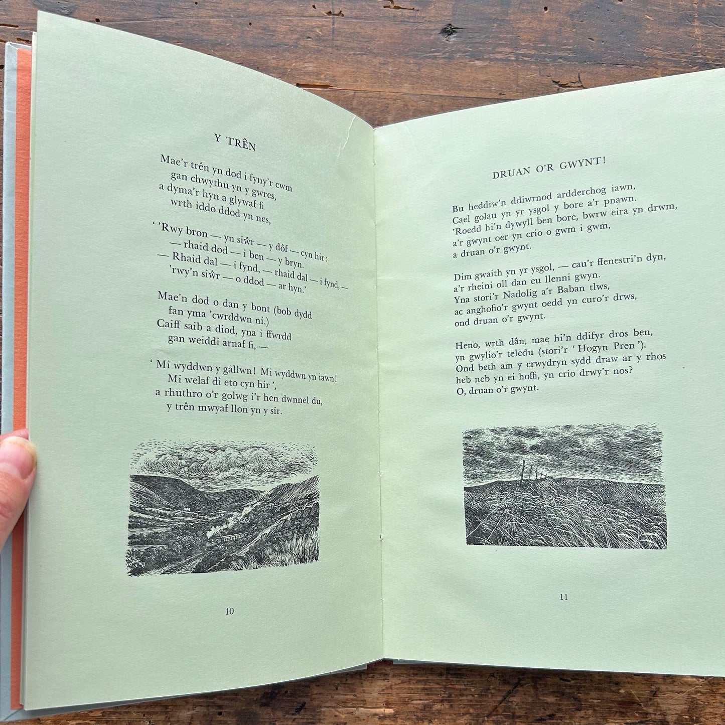 Sôn am Sbri - Dafydd Owen - Poetry - 1976 1st ed. (Preloved)