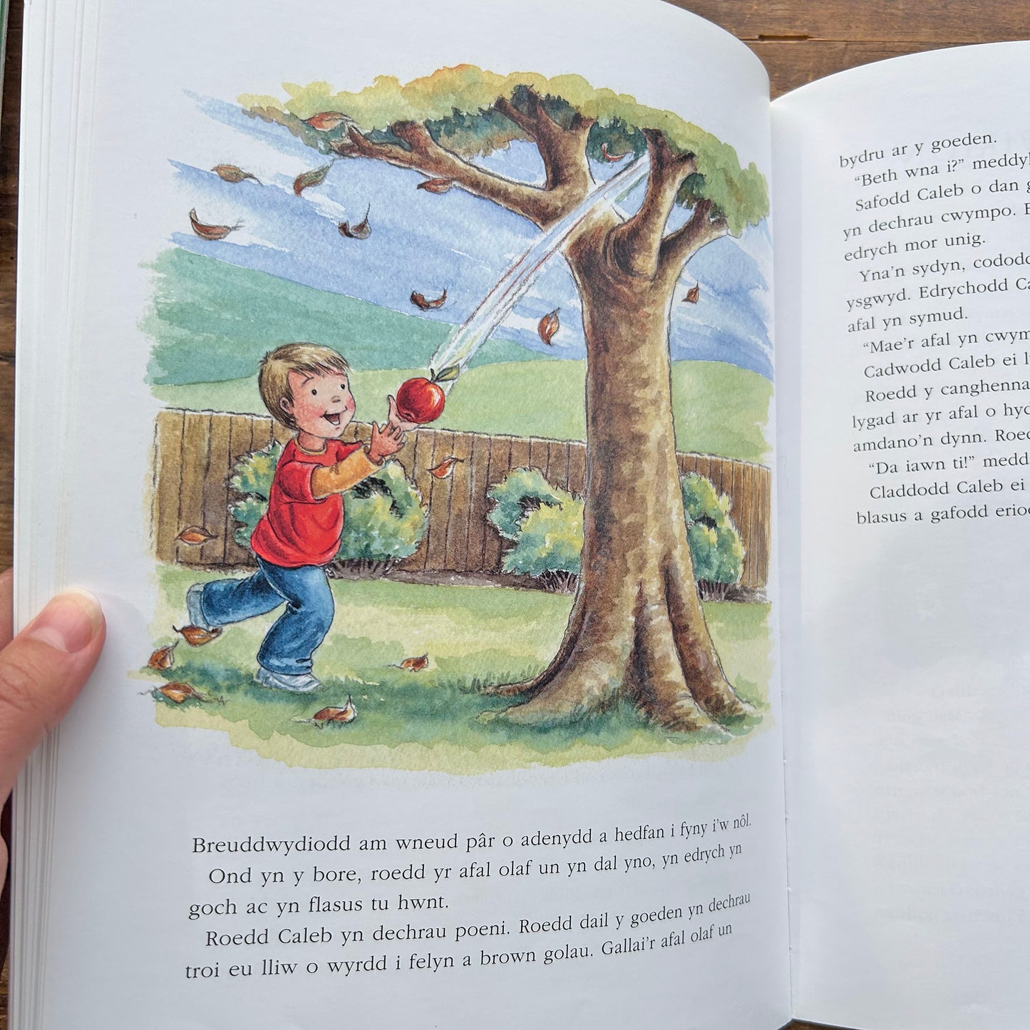 Stori Cyn Cysgu 2 - Collection of Welsh Bedtime Stories II (Preloved)