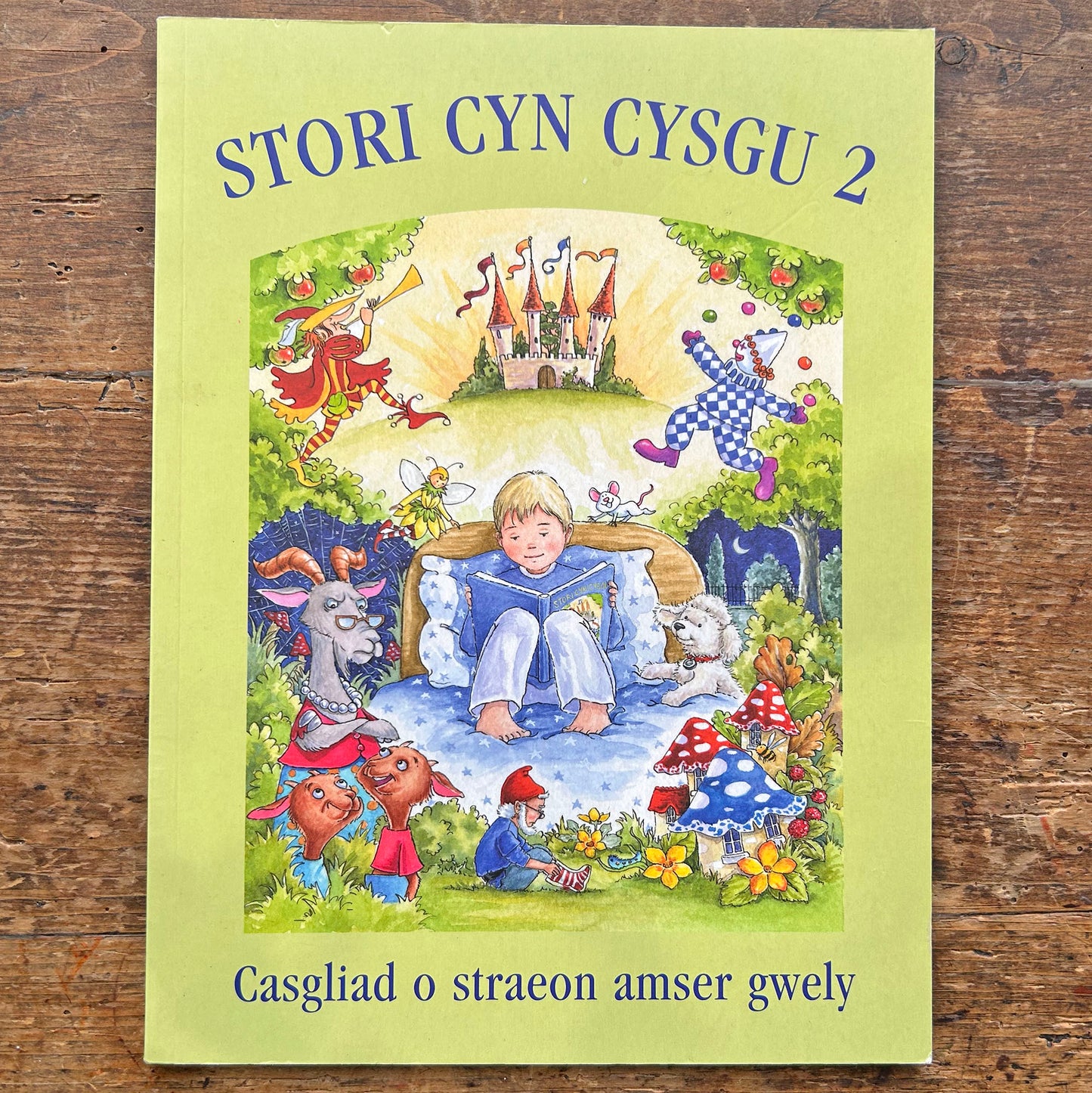 Stori Cyn Cysgu 2 - Collection of Welsh Bedtime Stories II (Preloved)