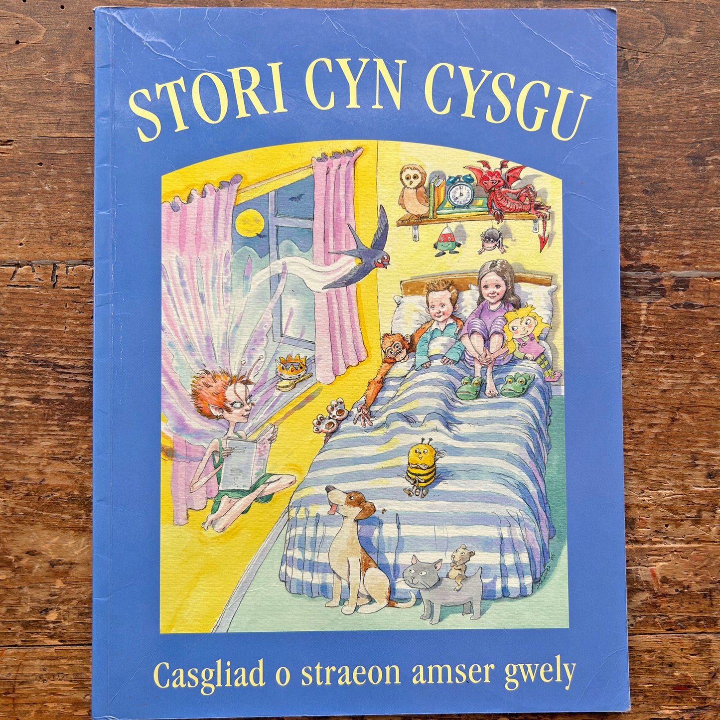 Stori Cyn Cysgu - Collection of Welsh Bedtime Stories (Preloved)