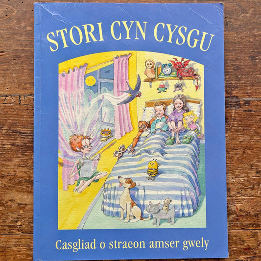 Stori Cyn Cysgu - Collection of Welsh Bedtime Stories (Preloved)