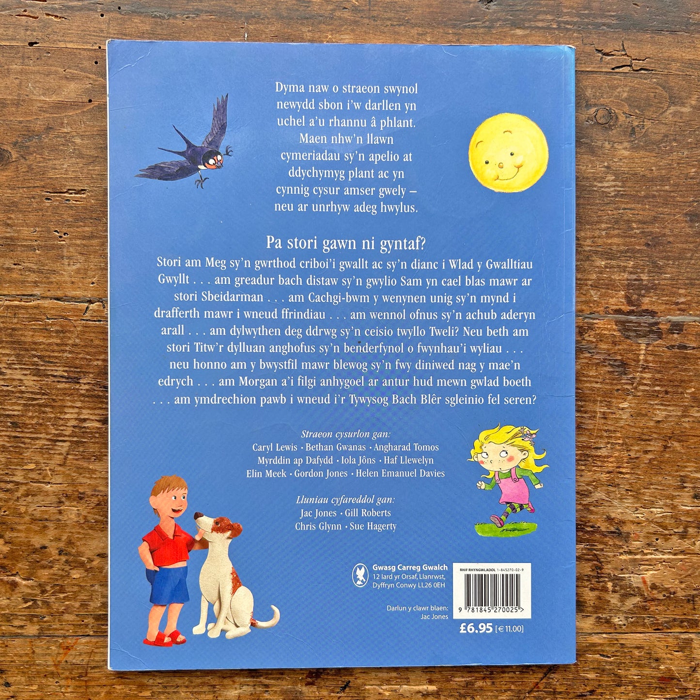 Stori Cyn Cysgu - Collection of Welsh Bedtime Stories (Preloved)