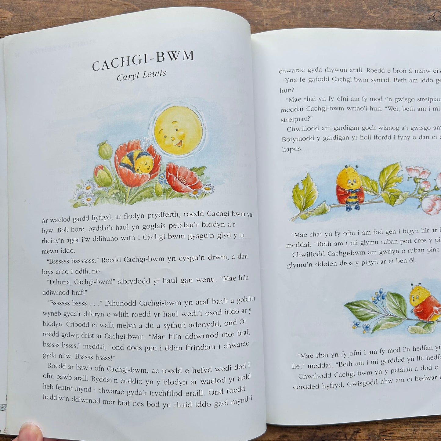 Stori Cyn Cysgu - Collection of Welsh Bedtime Stories (Preloved)