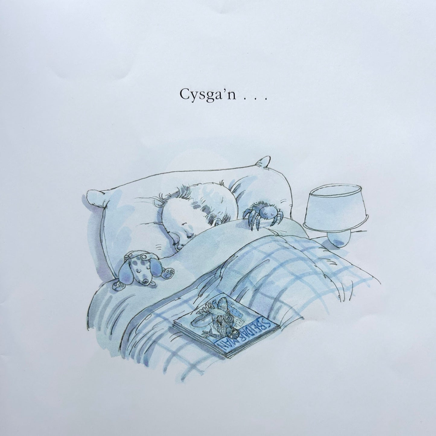 Stori Cyn Cysgu - Collection of Welsh Bedtime Stories (Preloved)