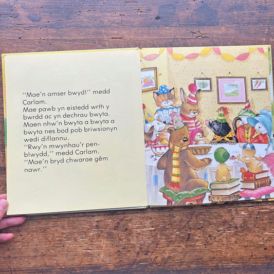 Stori Pen-Blwydd Carlam Cwningen - Vintage Welsh Book 1986 (Preloved)
