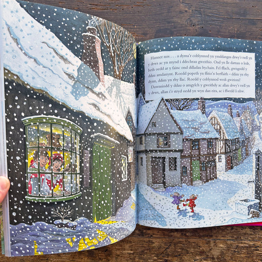 Stori, Stori, hen blant bach - Helen Craig / Addasiad Emil Huws (Preloved)