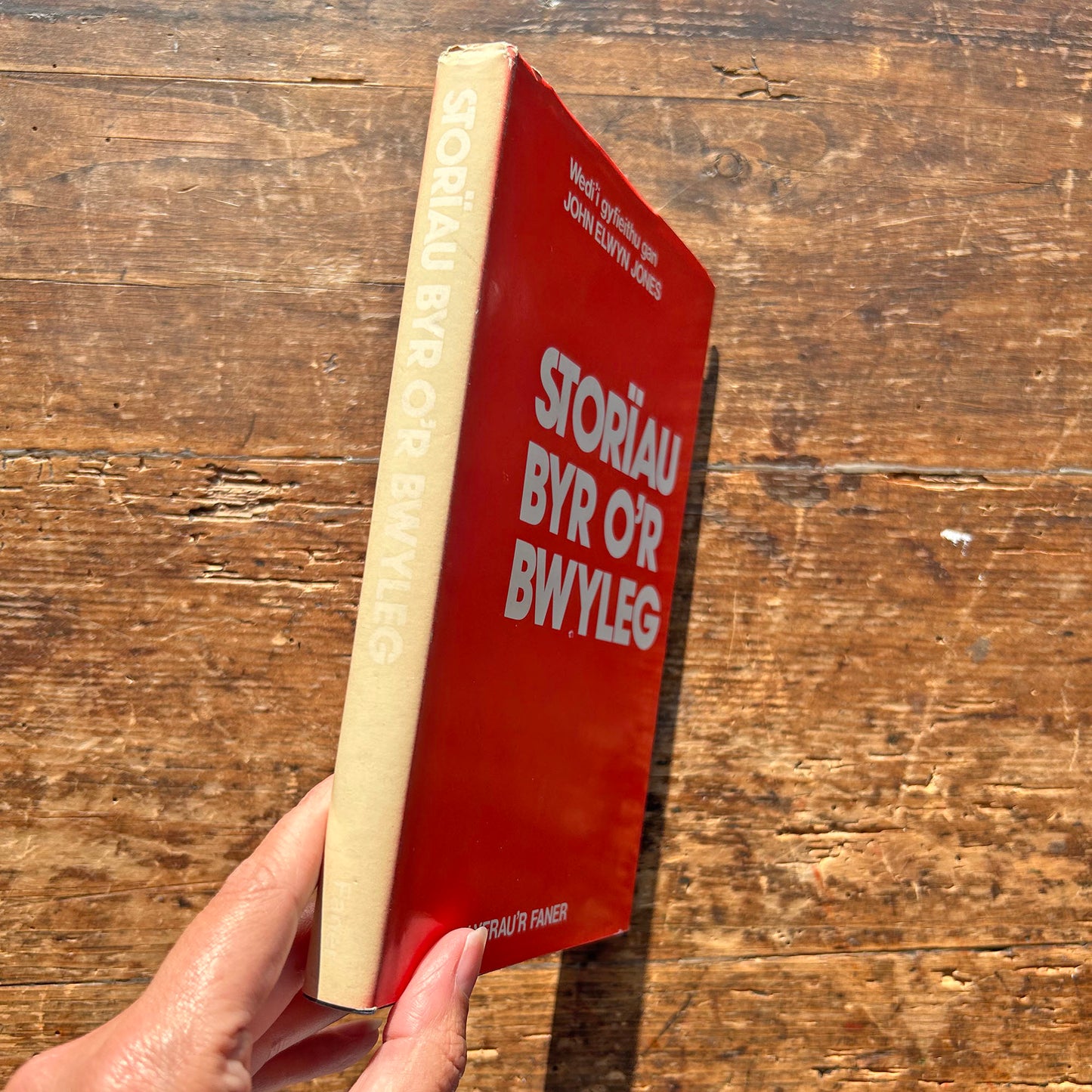 Storiau Byr o'r Bwyleg - Translated by John Elwyn Jones (Preloved)