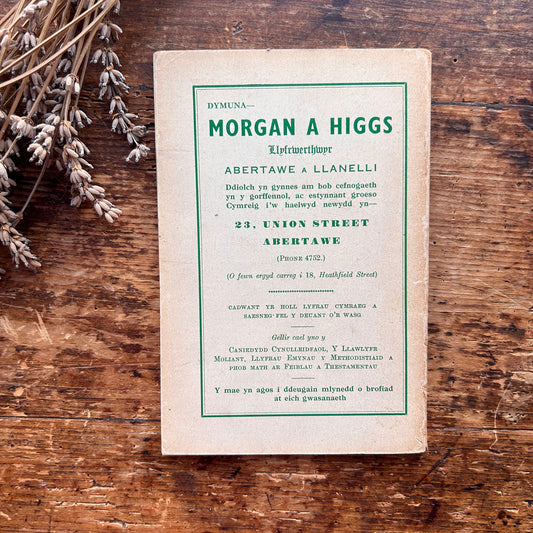 Storiau Gwallter Map / Walter Map - R. T. Jenkins - 1941 (Preloved)