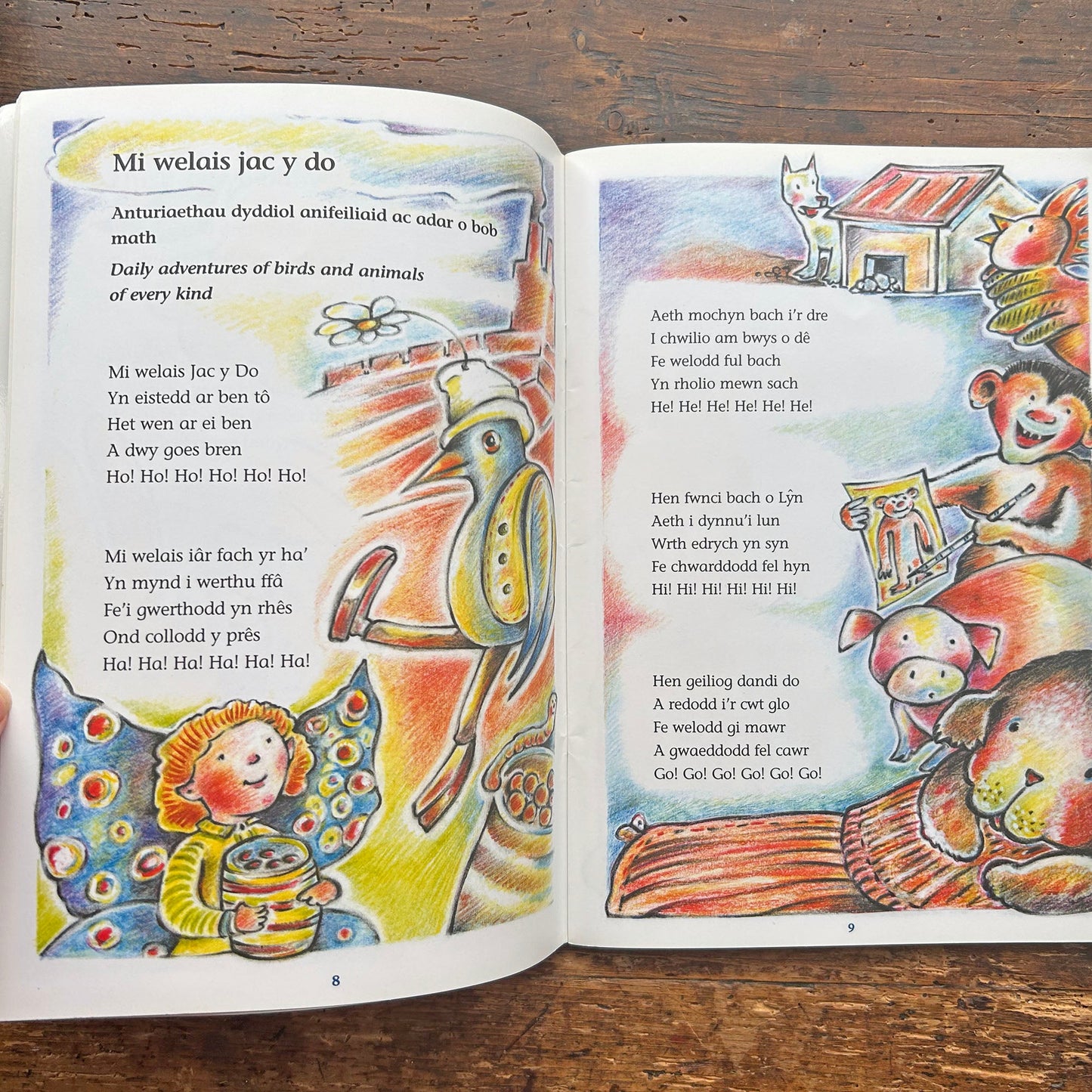 Stories, Songs and Rhymes / Storiau Caneuon a Rhigymau (Preloved)