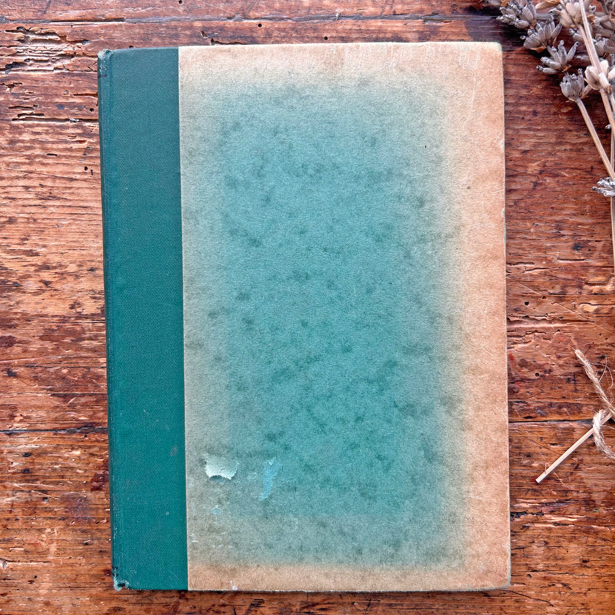 Nedw - E. Tegla Davies - Byrddau Glas - 1922 (Wedi'i ail-law)