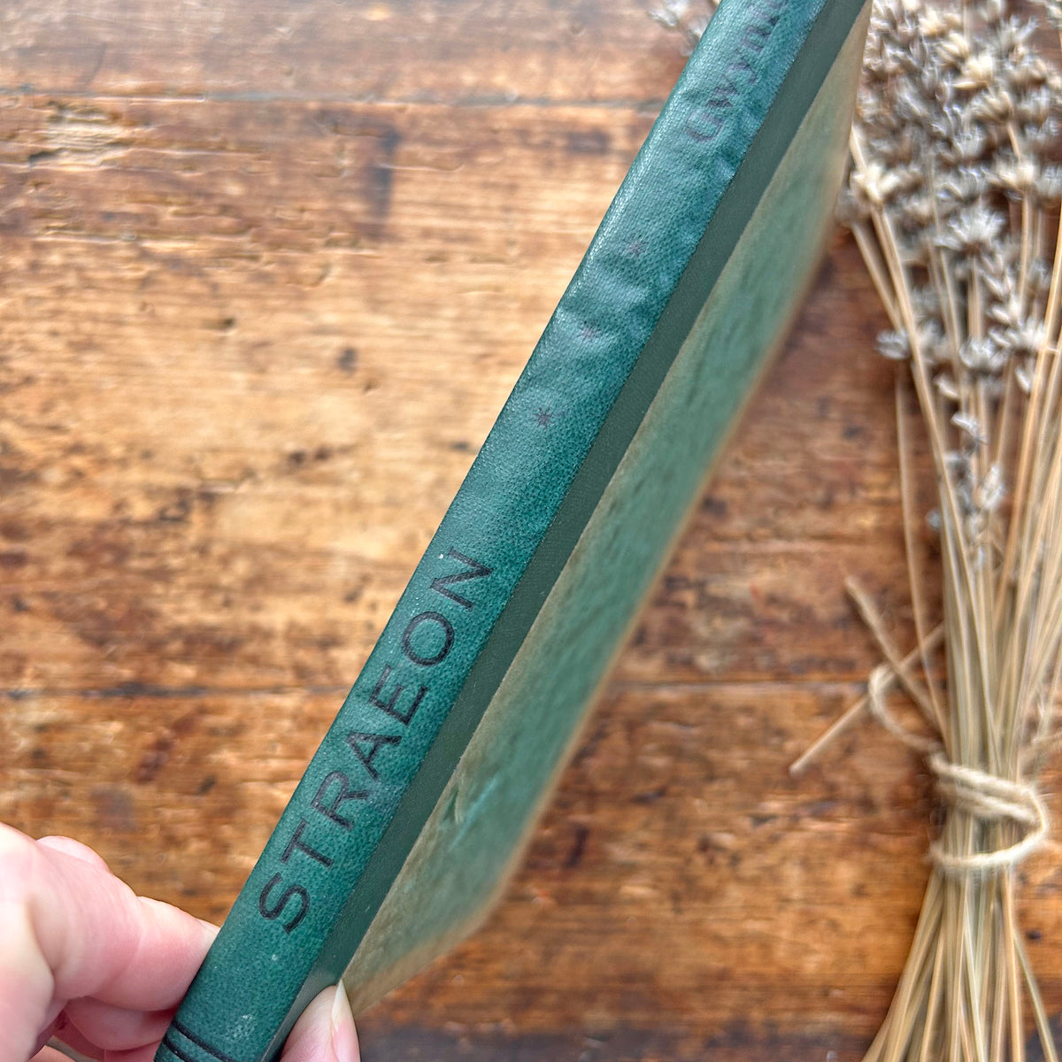 Nedw - E. Tegla Davies - Byrddau Glas - 1922 (Wedi'i ail-law)