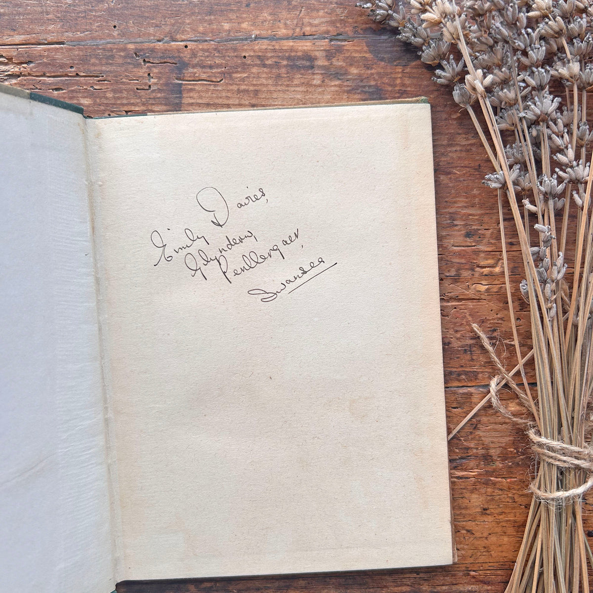 Nedw - E. Tegla Davies - Byrddau Glas - 1922 (Wedi'i ail-law)