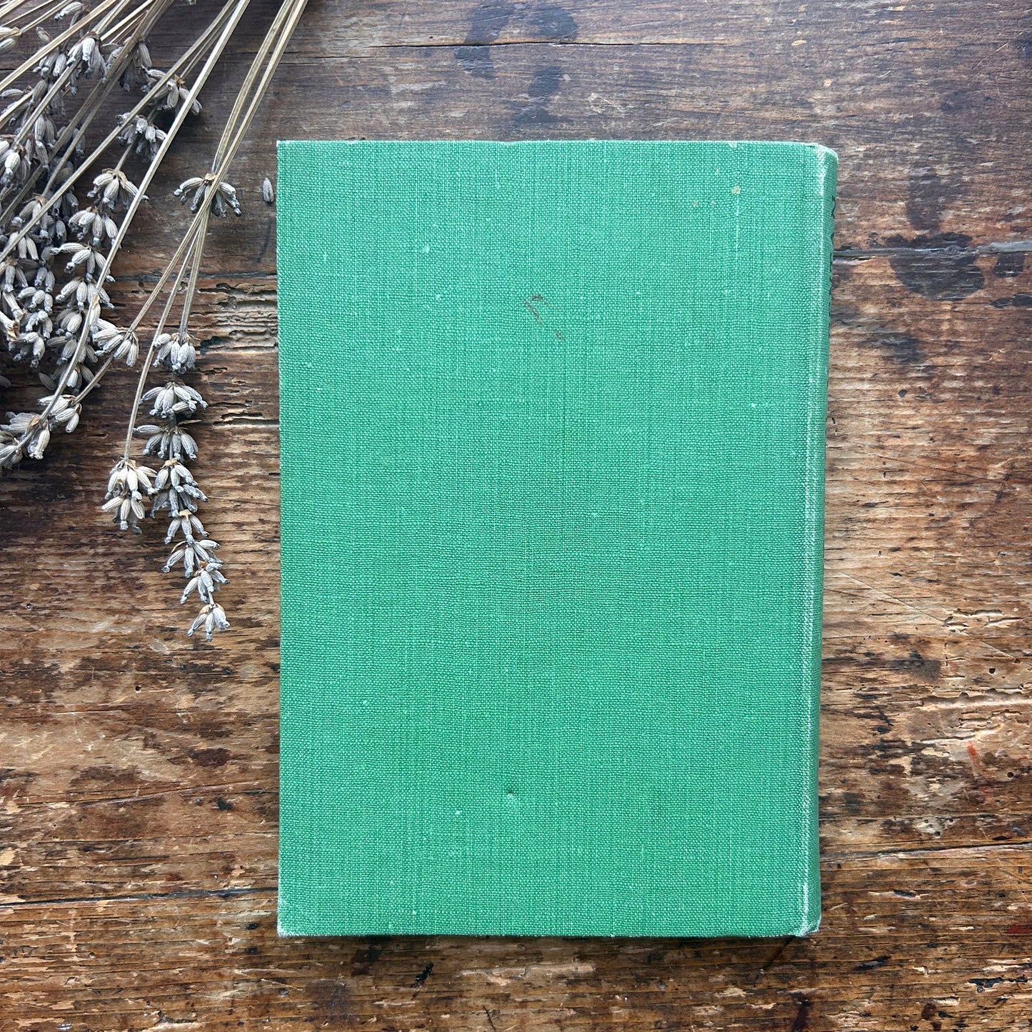 Straeon y Pentan - Daniel Owen - Green (Preloved)