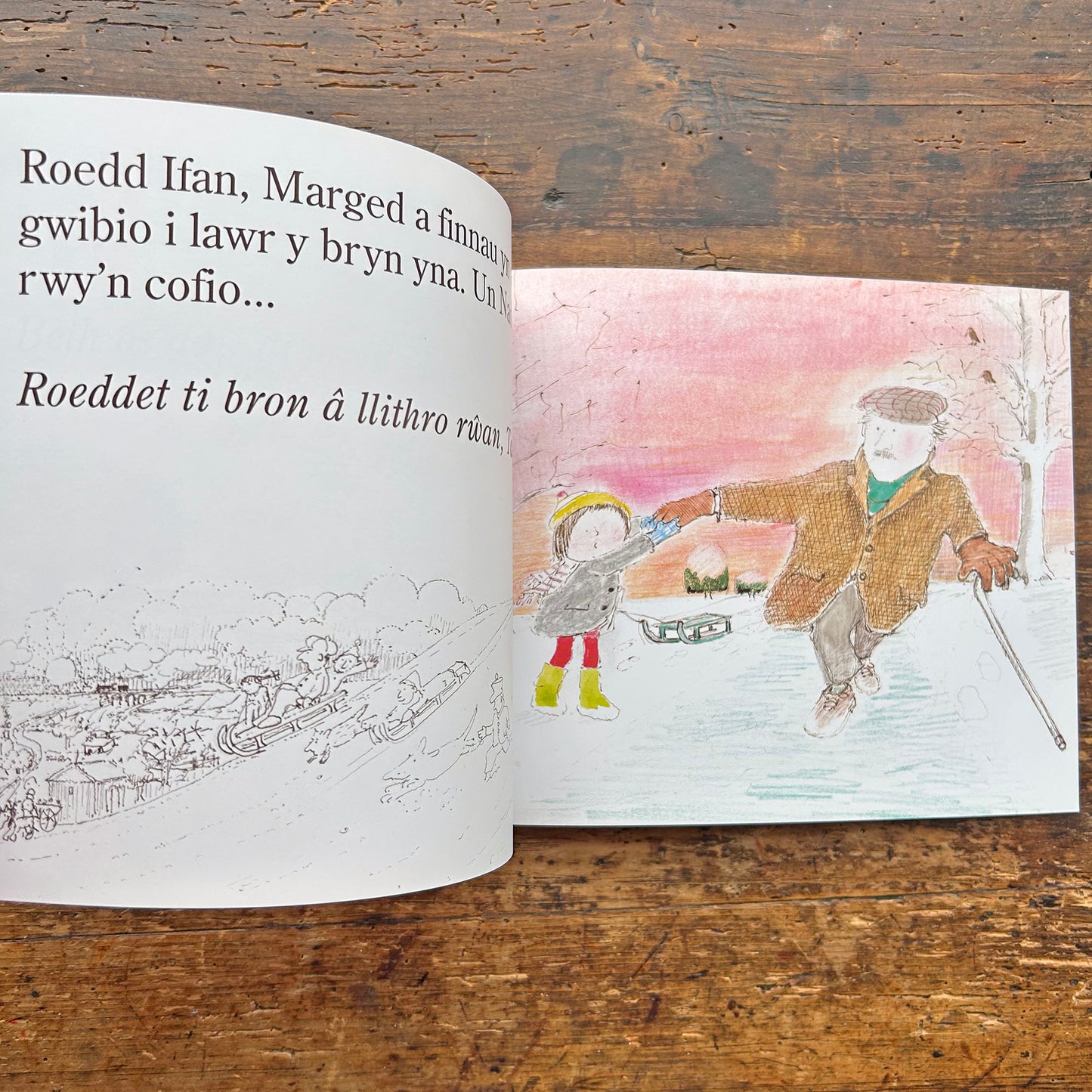 Taid / Grandpa - John Burningham (Preloved)
