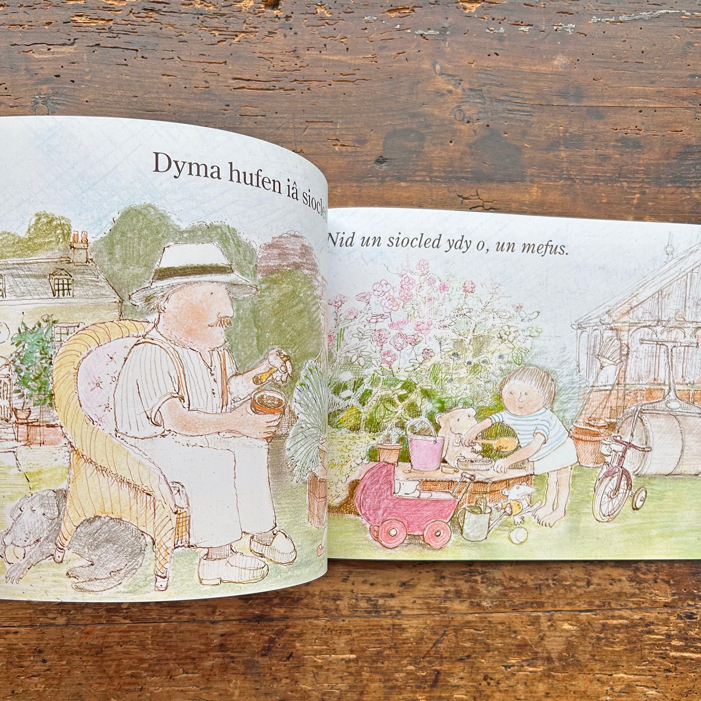 Taid / Grandpa - John Burningham (Preloved)