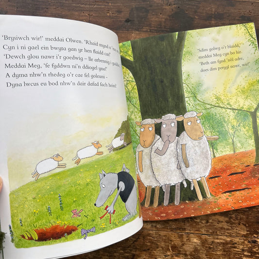 Tair Dafad Fach - Rob Lewis (Preloved)