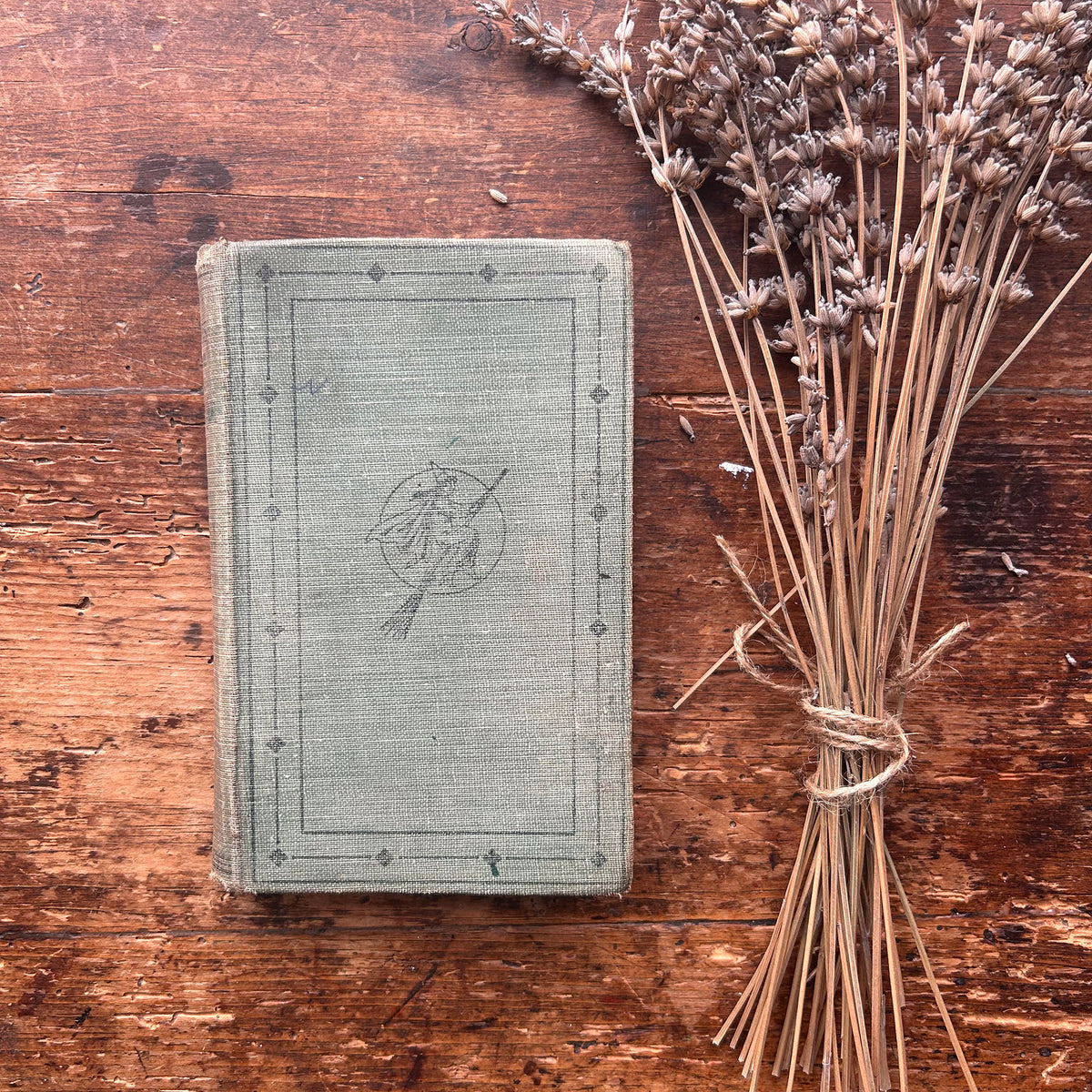 Tales From The Mabinogion - Witch Cover - Meta E. Williams - Antique 1907 (Preloved)