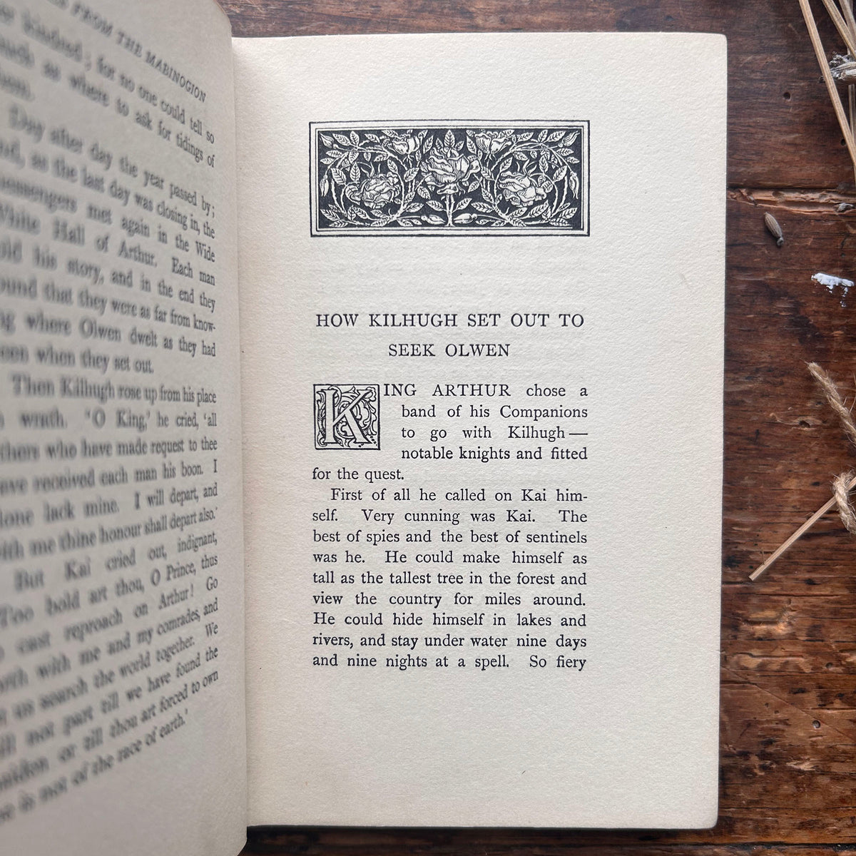 Tales From The Mabinogion - Witch Cover - Meta E. Williams - Antique 1907 (Preloved)