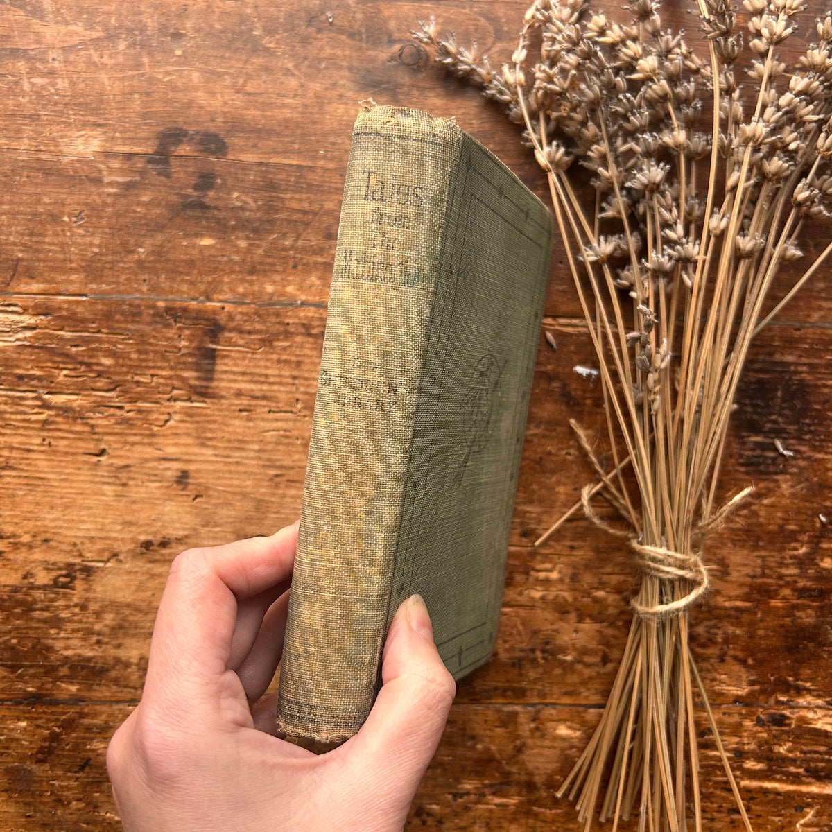 Tales From The Mabinogion - Witch Cover - Meta E. Williams - Antique 1907 (Preloved)