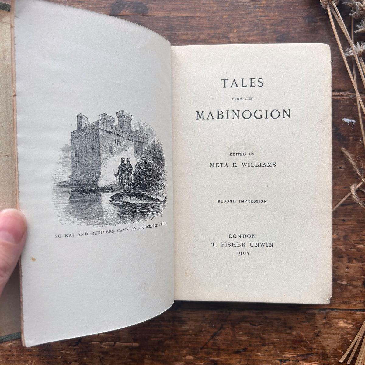Tales From The Mabinogion - Witch Cover - Meta E. Williams - Antique 1907 (Preloved)