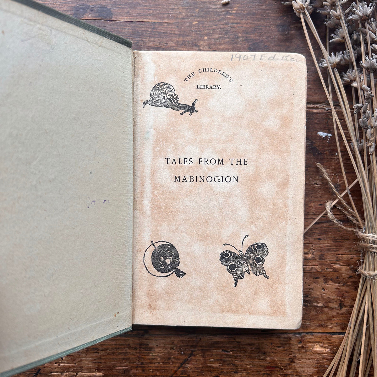 Tales From The Mabinogion - Witch Cover - Meta E. Williams - Antique 1907 (Preloved)