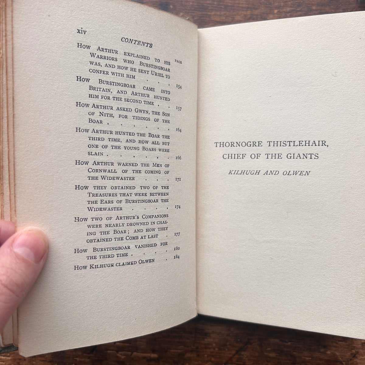 Tales From The Mabinogion - Witch Cover - Meta E. Williams - Antique 1907 (Preloved)