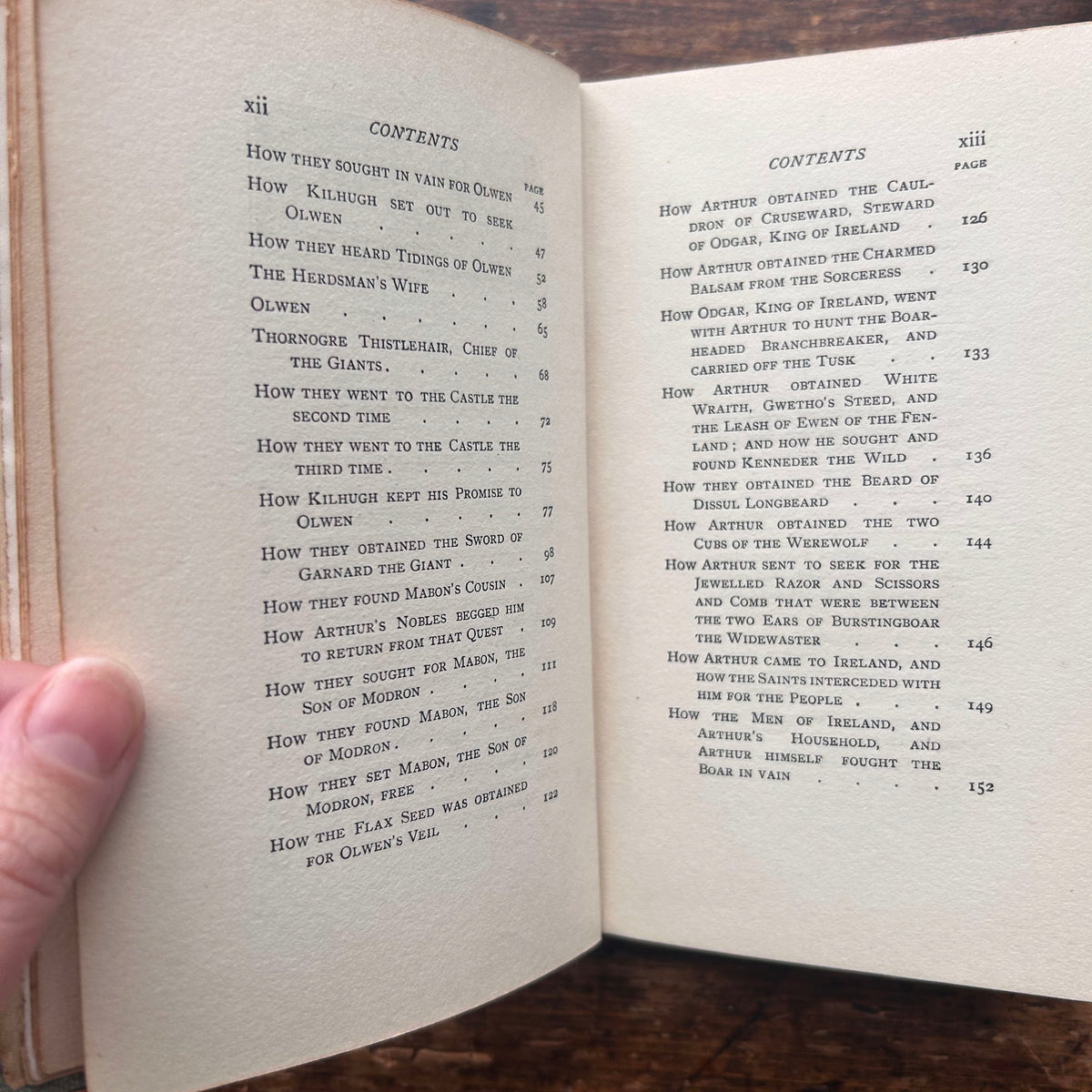 Tales From The Mabinogion - Witch Cover - Meta E. Williams - Antique 1907 (Preloved)